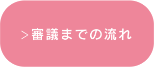 審議までの流れ